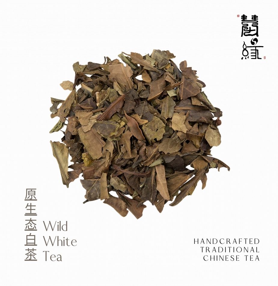 原生态白茶 | Wild White Tea