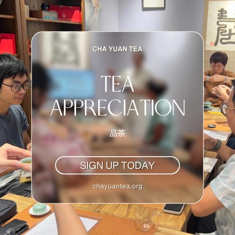 Tea Appreciation