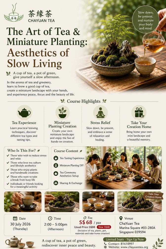 The Art of Tea & Miniature Planting: Aesthetics of Slow Living